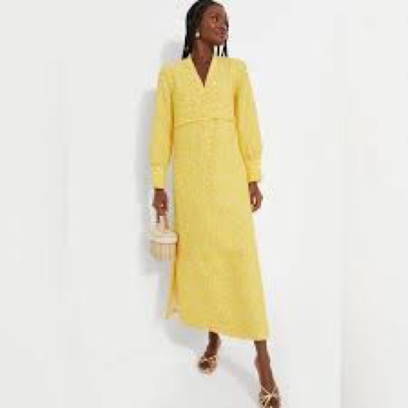 Tuckernuck Dresses & Skirts - NWT Tuckernuck Daisy Jacquard Aurelia Maxi Dress, S